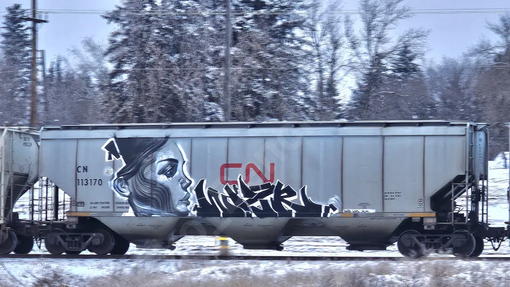 CN113170 - NORTH-AMERICA
