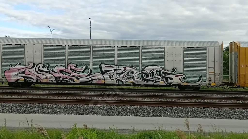 SFLC307703 - NORTH-AMERICA