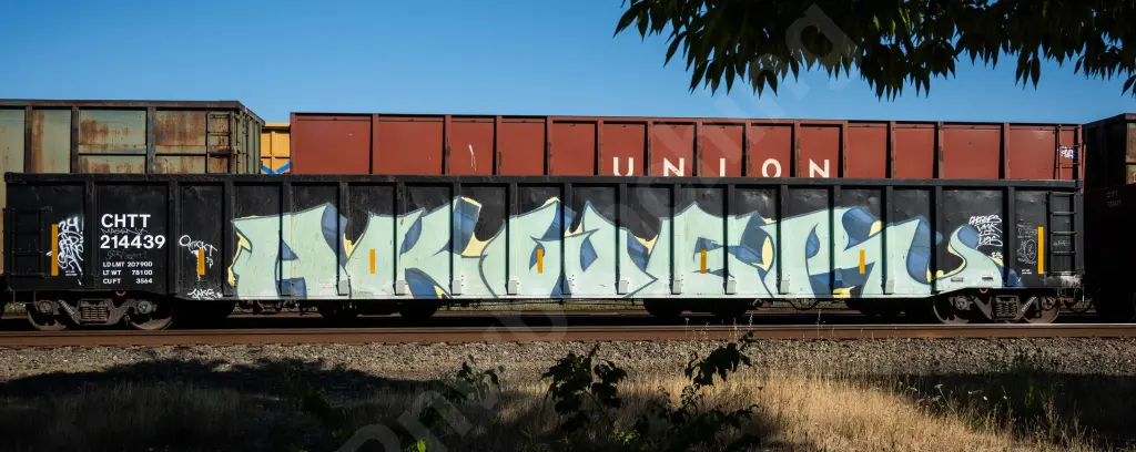 CHTT214439 - NORTH-AMERICA