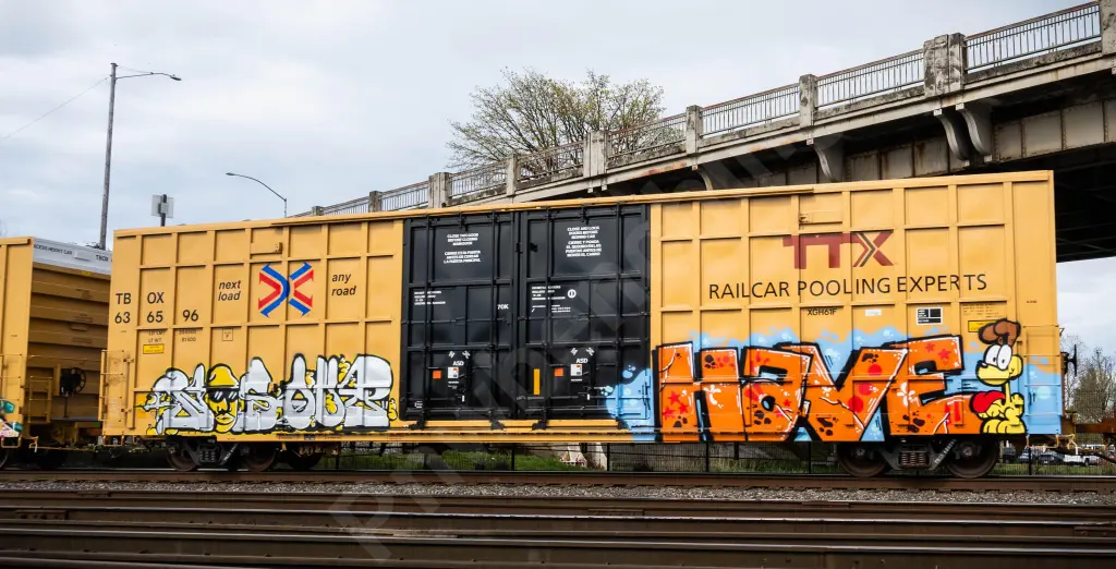 TBOX636596 - NORTH-AMERICA