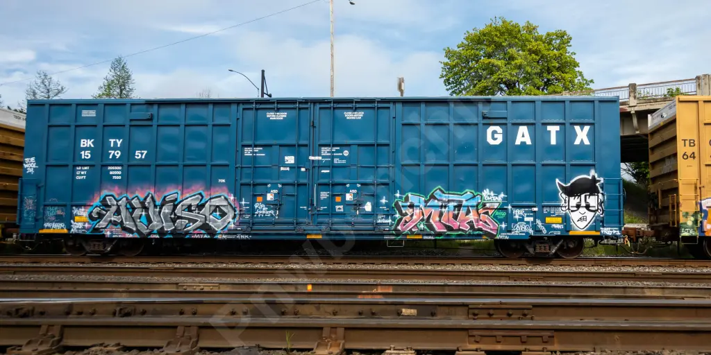 BKTY157957 - NORTH-AMERICA