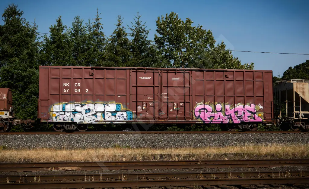 NKCR67042 - NORTH-AMERICA