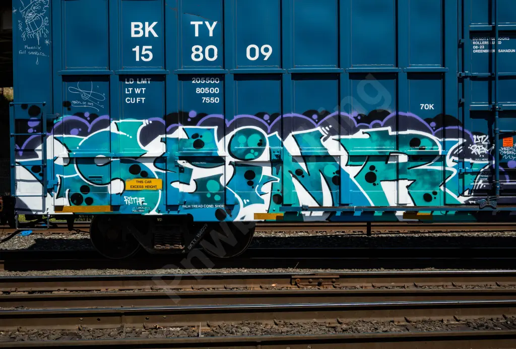BKTY158009 - NORTH-AMERICA