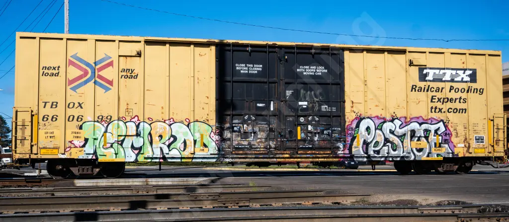 TBOX6660699 - NORTH-AMERICA