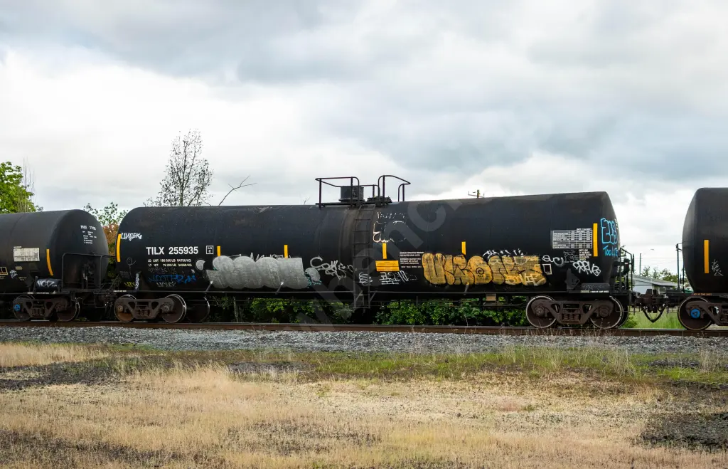 TILX255935 - NORTH-AMERICA