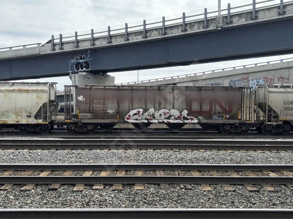 CN882144 - NORTH-AMERICA
