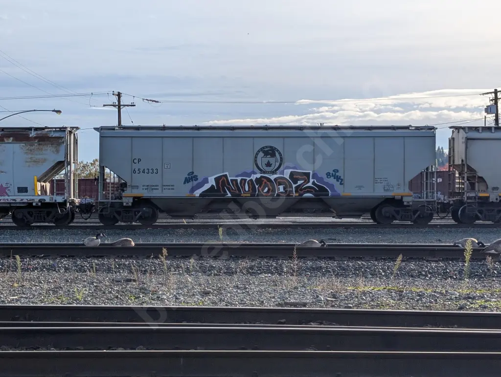 CP654333 - NORTH-AMERICA