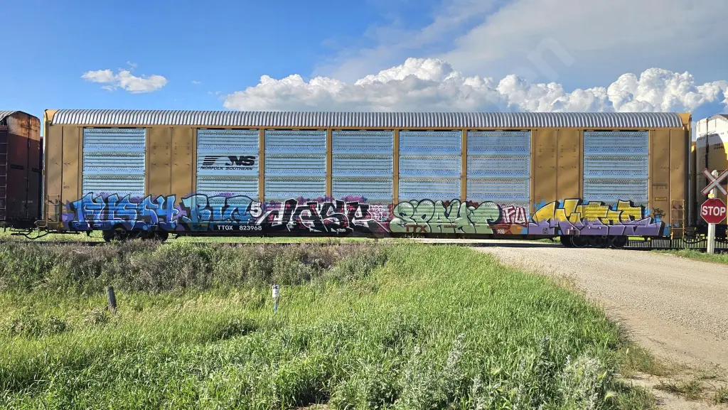 TTGX823968 - NORTH-AMERICA