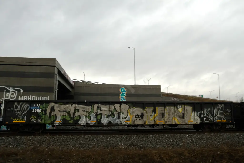 IC3695 - NORTH-AMERICA