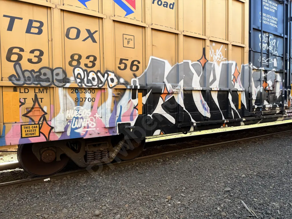 TBOX638356 - NORTH-AMERICA