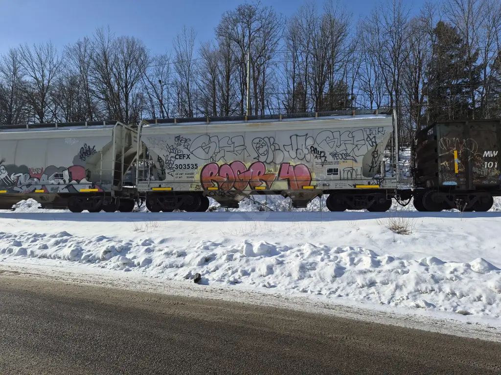 CEFX303535 - NORTH-AMERICA