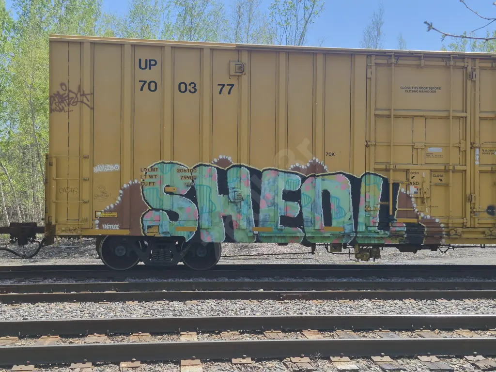 UP700377 - NORTH-AMERICA