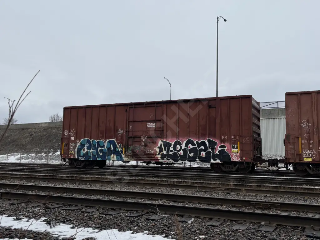 TR405466 - NORTH-AMERICA