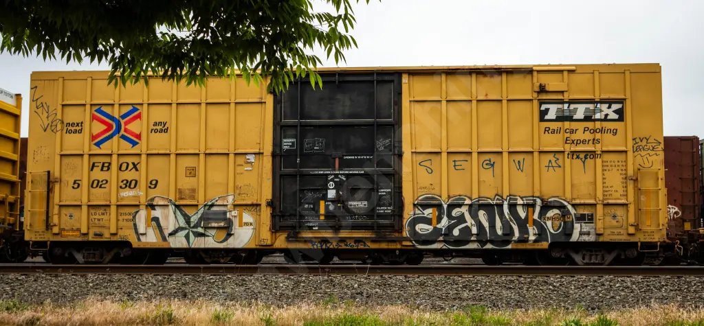 FBOX502309 - NORTH-AMERICA