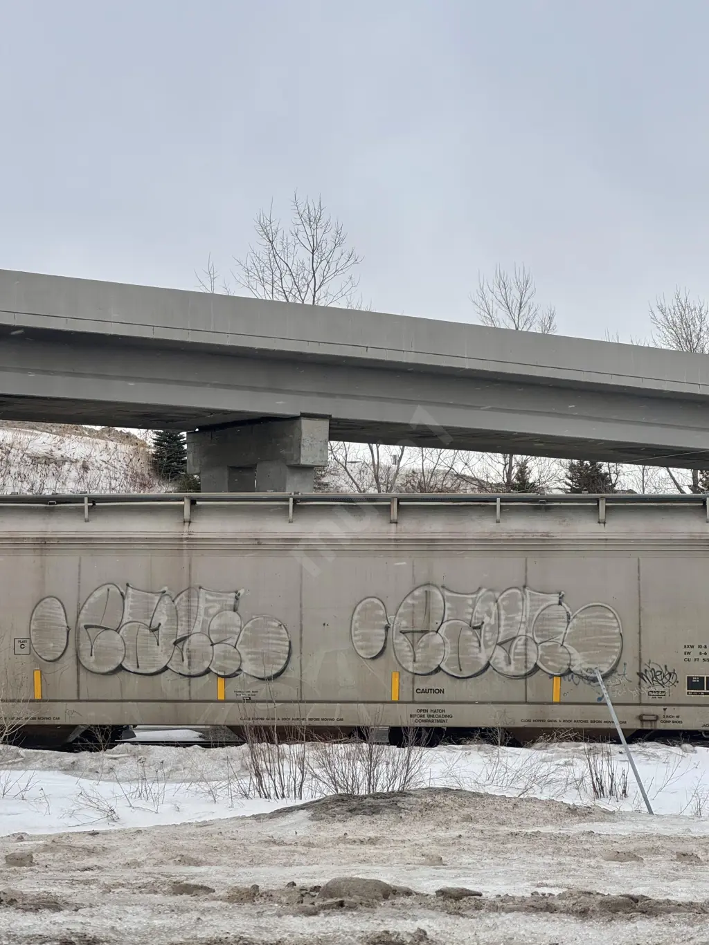 BCOL829035 - NORTH-AMERICA