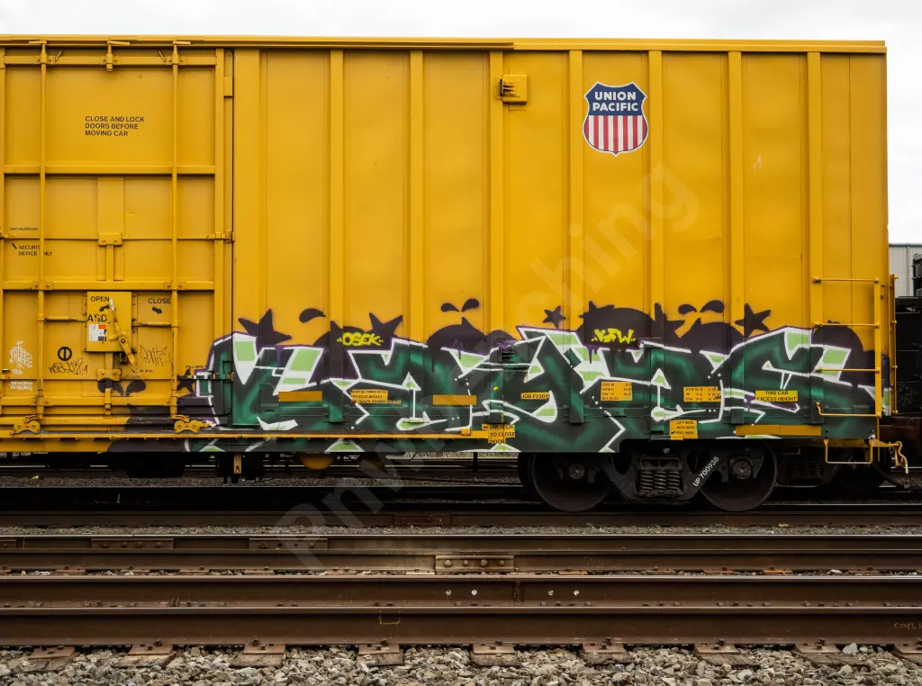 UP700938 - NORTH-AMERICA