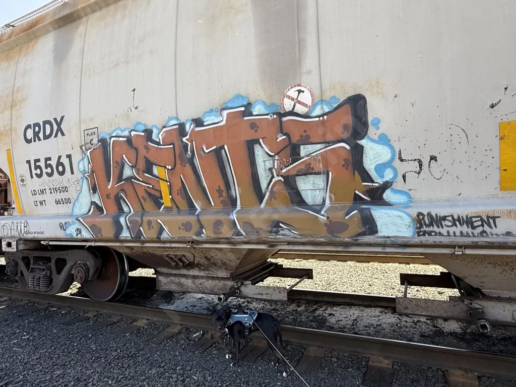 CRDX15561 - NORTH-AMERICA