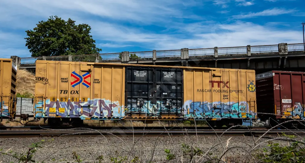 TBOX667613 - NORTH-AMERICA