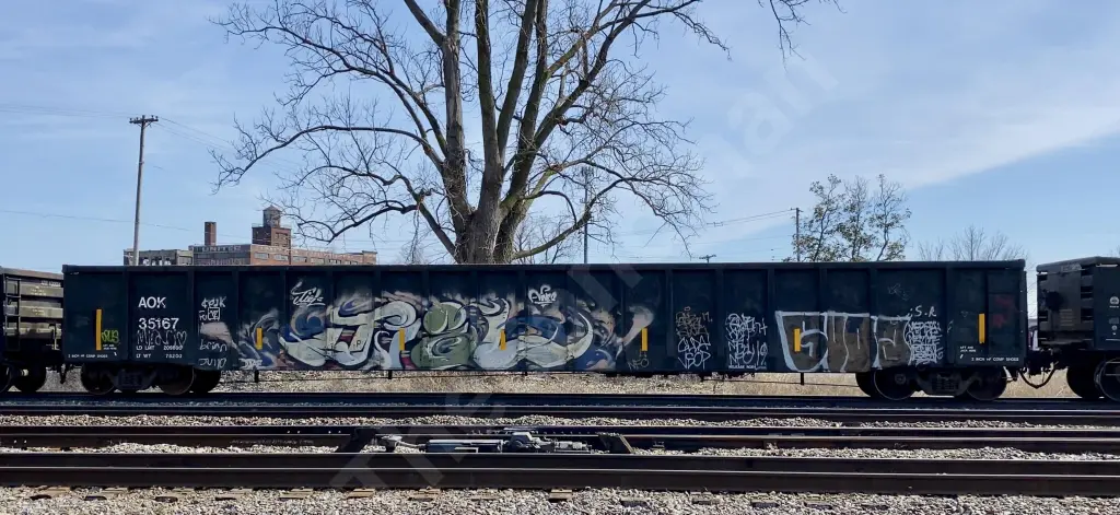 AOK35167 - NORTH-AMERICA