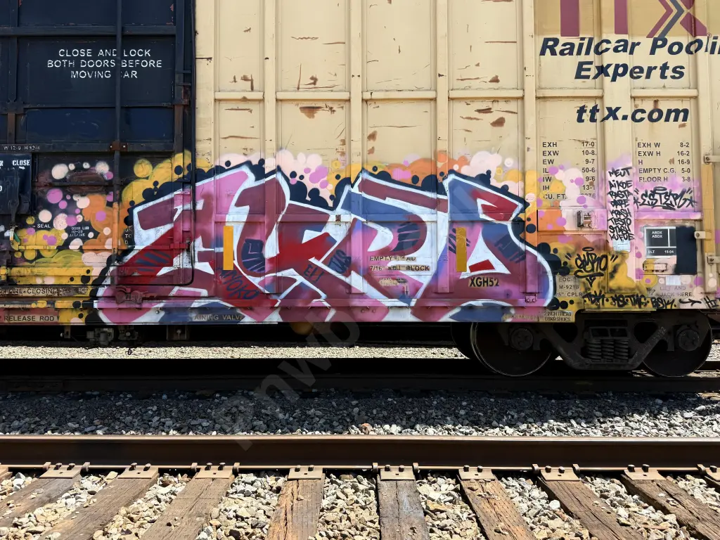 FBOX505102 - NORTH-AMERICA