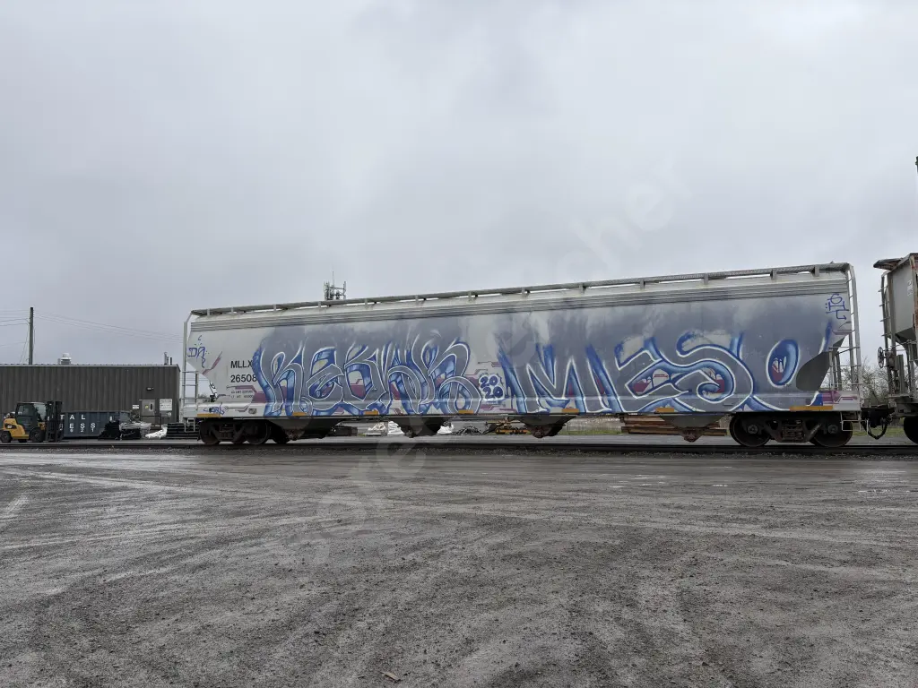 MLLX26508 - NORTH-AMERICA