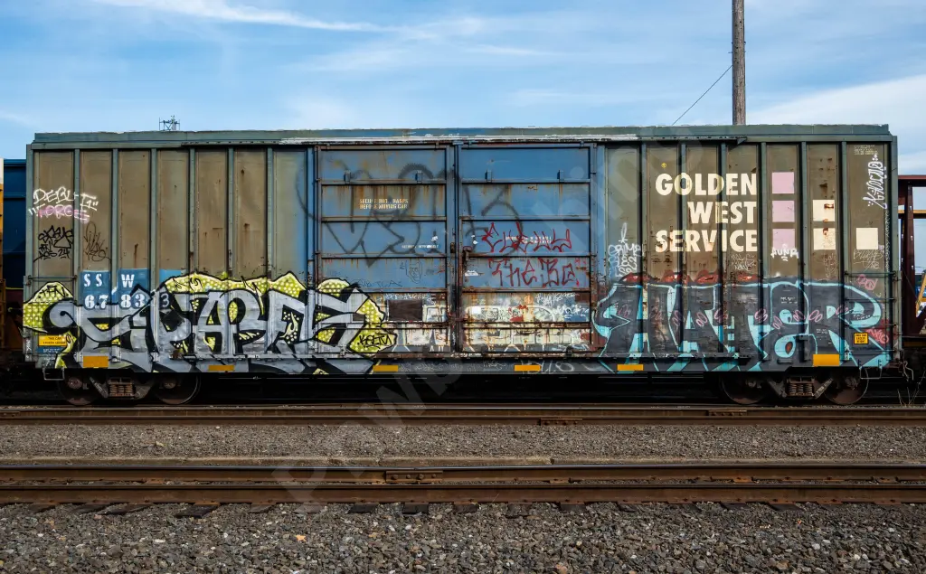 SSW67833 - NORTH-AMERICA