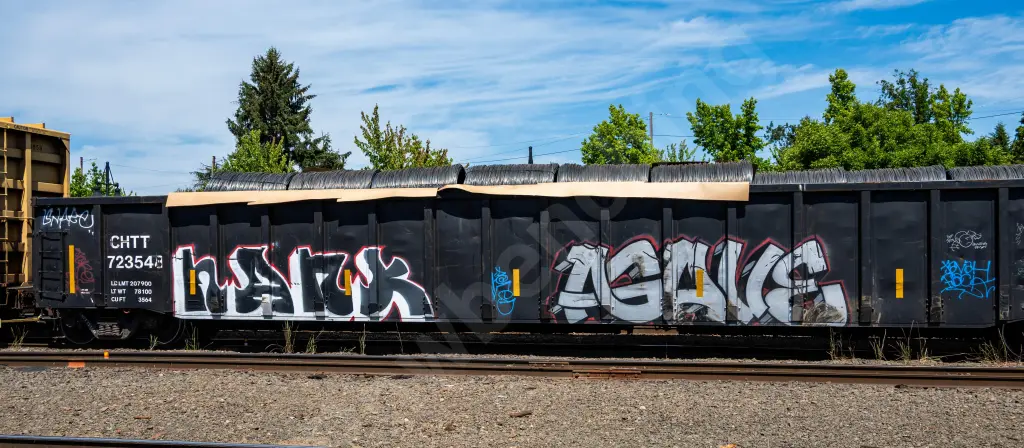 CHTT723548 - NORTH-AMERICA