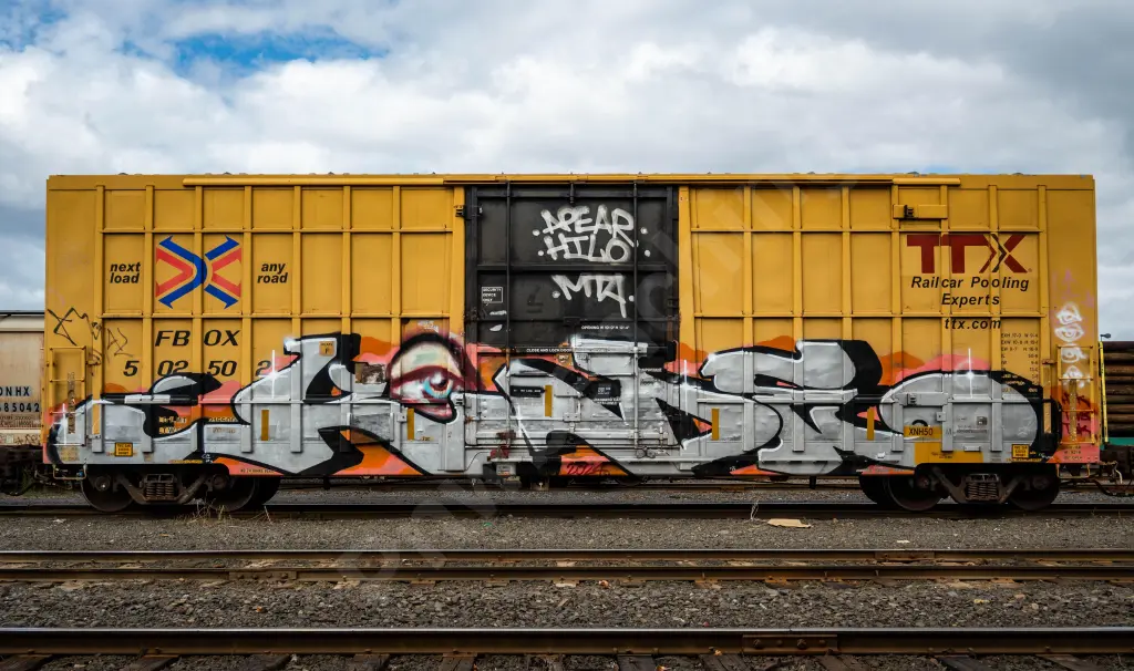 FBOX502502 - NORTH-AMERICA