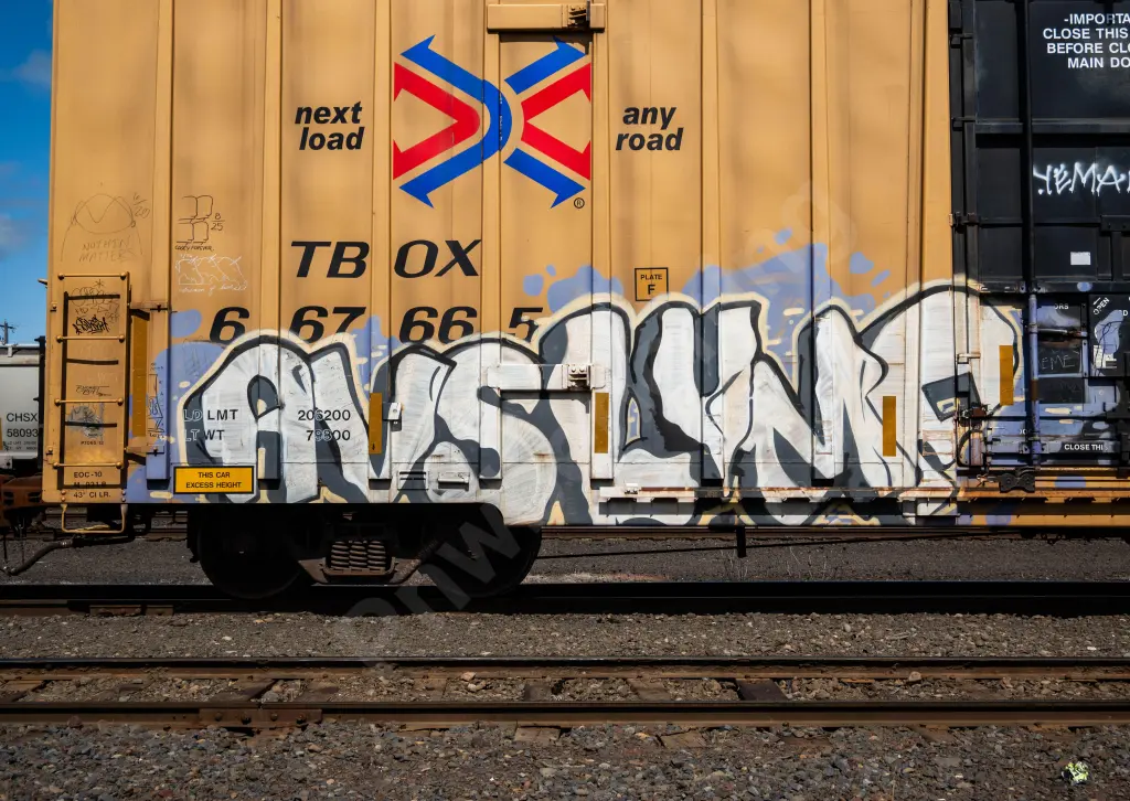 TBOX667665 - NORTH-AMERICA