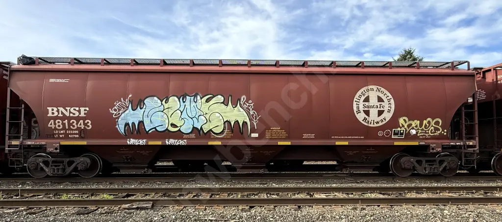 BNSF481343 - NORTH-AMERICA