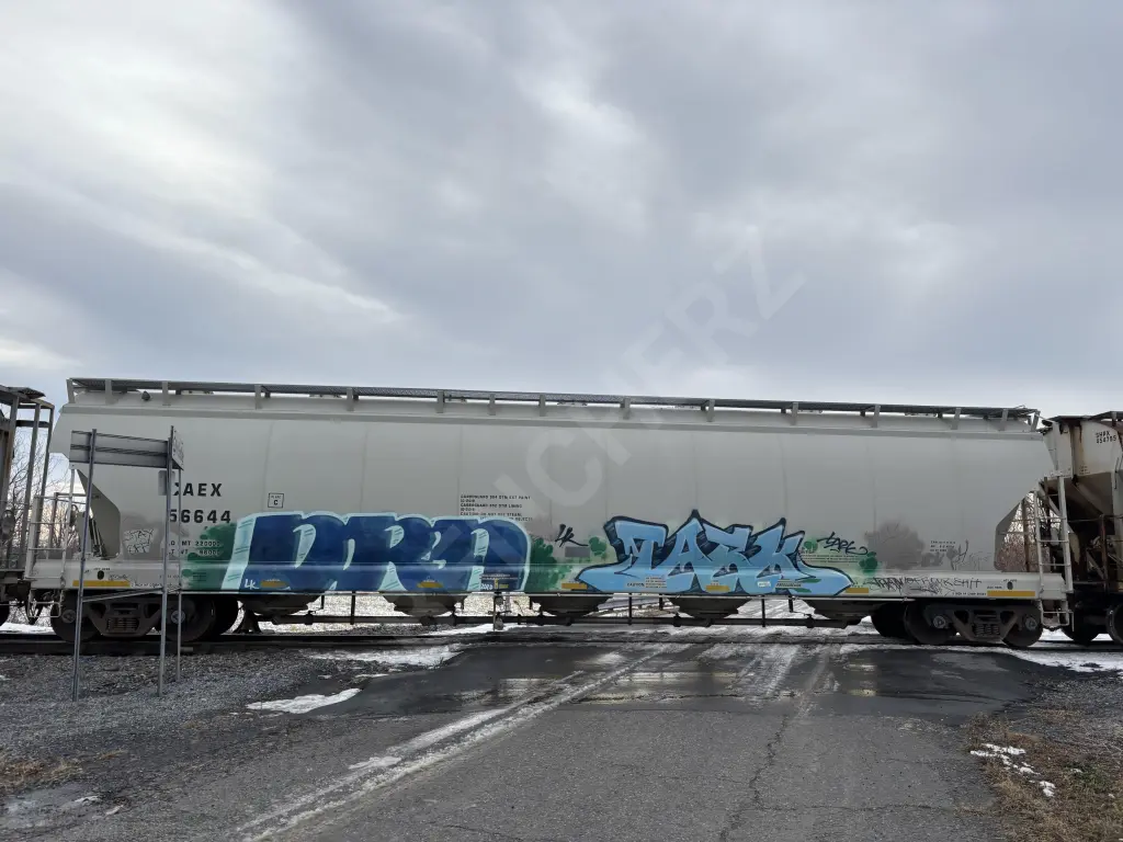 CAEX56644 - NORTH-AMERICA