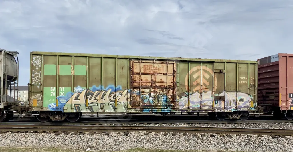 BAYL7030 - NORTH-AMERICA