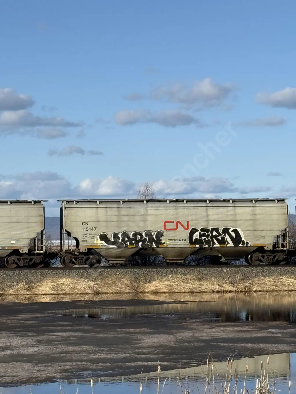 CN115147 - NORTH-AMERICA