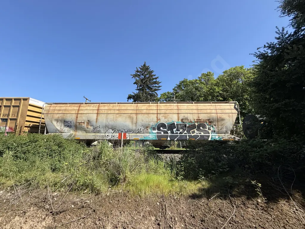 ERCX7043 - NORTH-AMERICA
