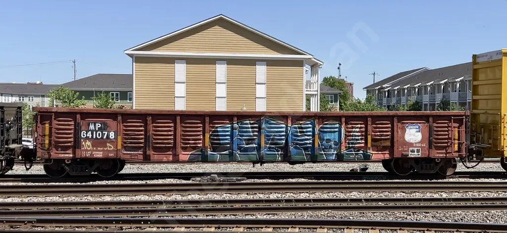 MP641078 - NORTH-AMERICA