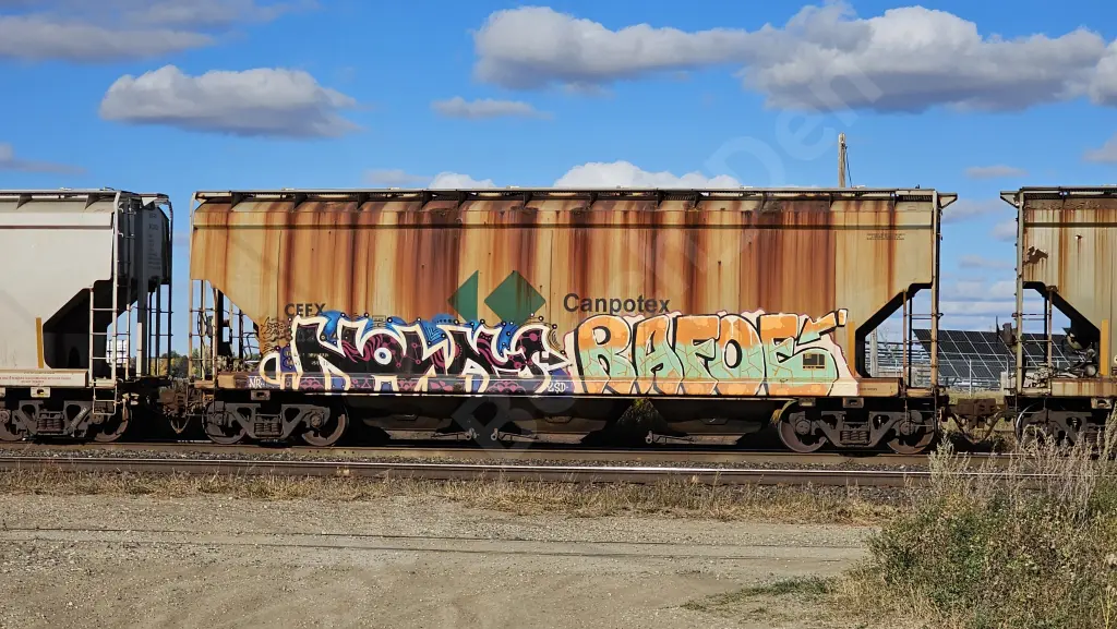 CEFX302646 - NORTH-AMERICA