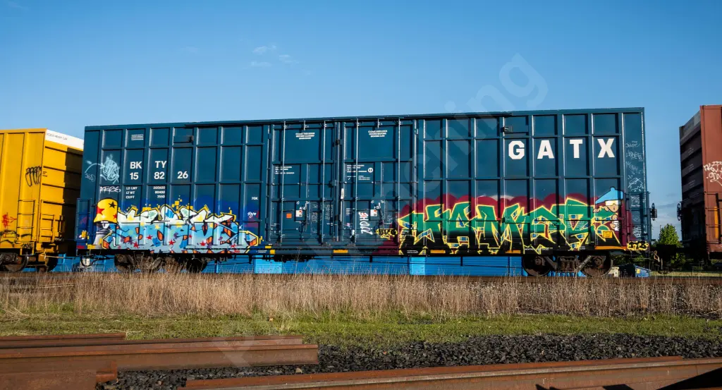 BKTY158226 - NORTH-AMERICA