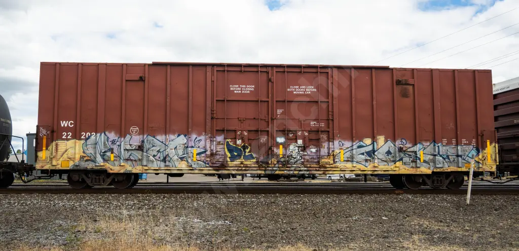 WC22202 - NORTH-AMERICA