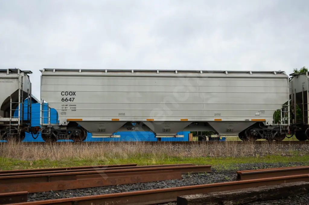 CGOX6647 - NORTH-AMERICA
