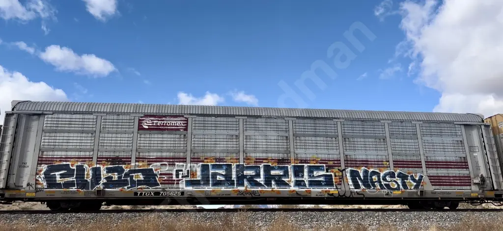 TTGX705625 - NORTH-AMERICA