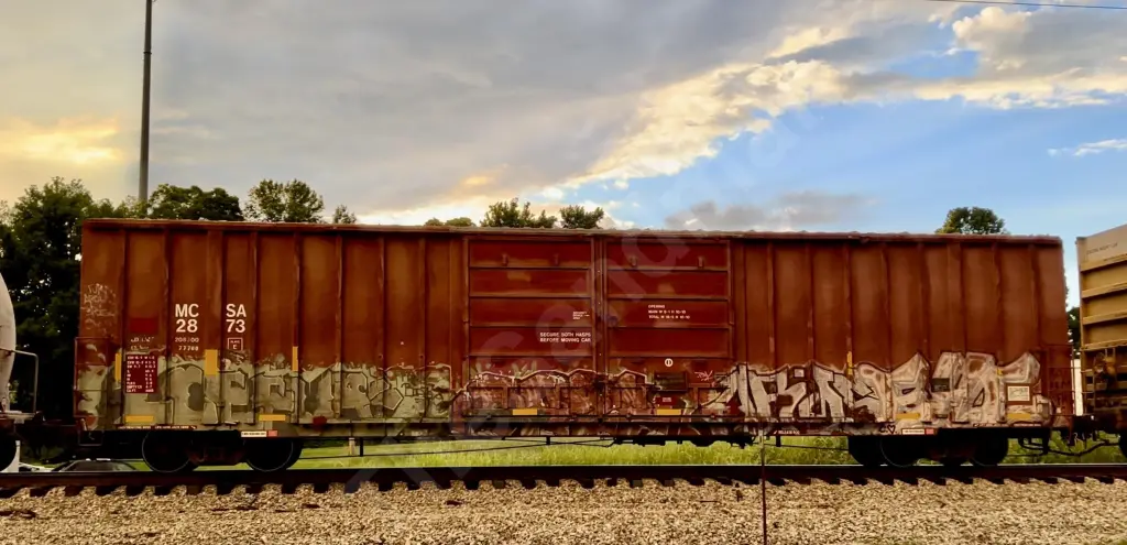 MCSA2873 - NORTH-AMERICA