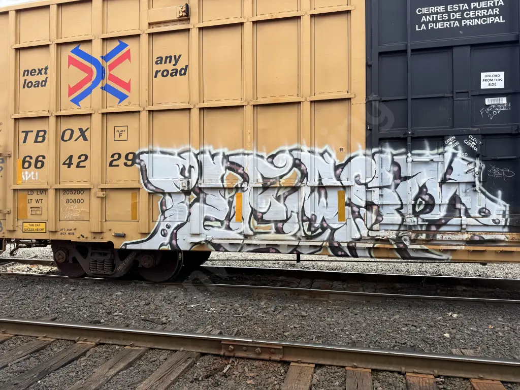 TBOX664229 - NORTH-AMERICA