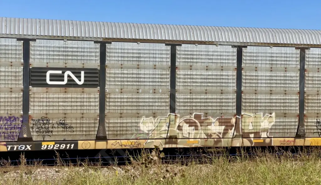TTGX992911 - NORTH-AMERICA