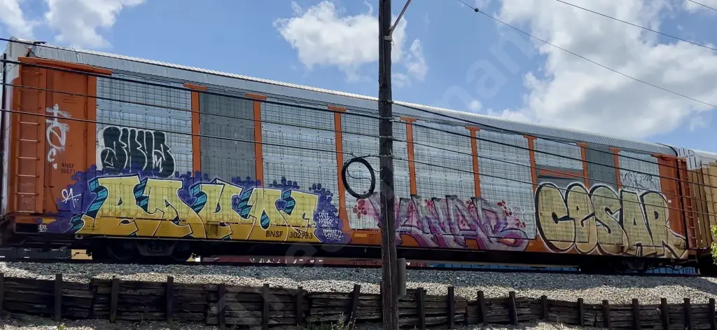 BNSF302983 - NORTH-AMERICA