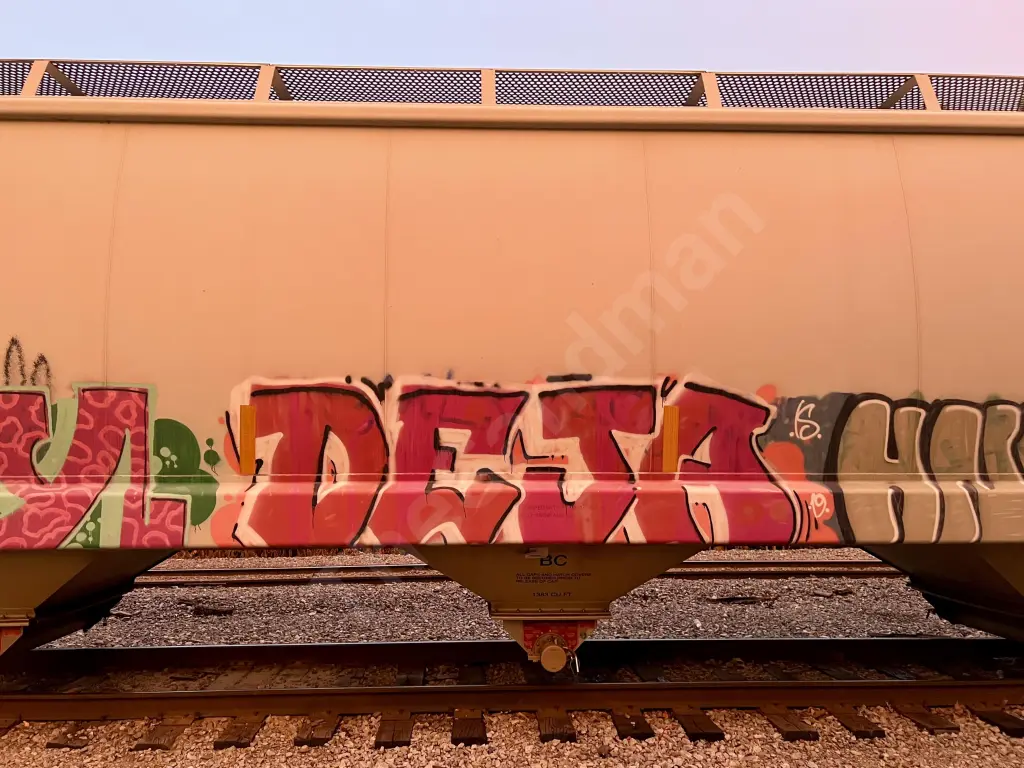 ELTX8031 - NORTH-AMERICA