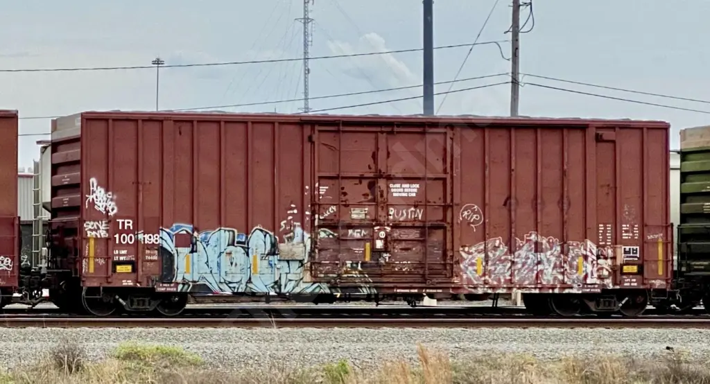 TR100198 - NORTH-AMERICA