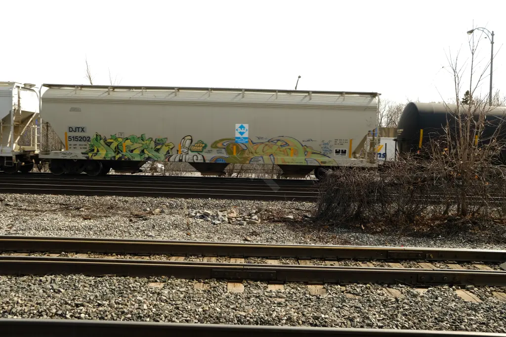 DJTX515202 - NORTH-AMERICA