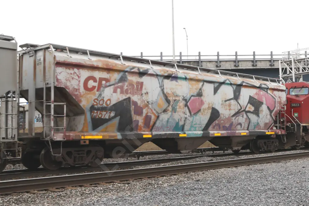 SOO11571 - NORTH-AMERICA