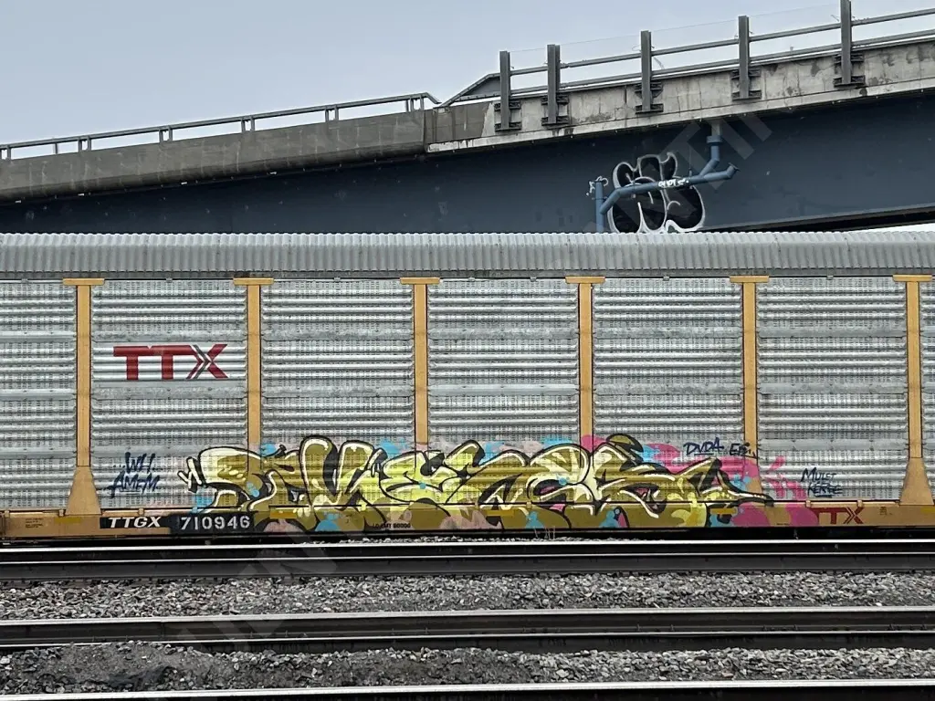 TTGX710946 - NORTH-AMERICA