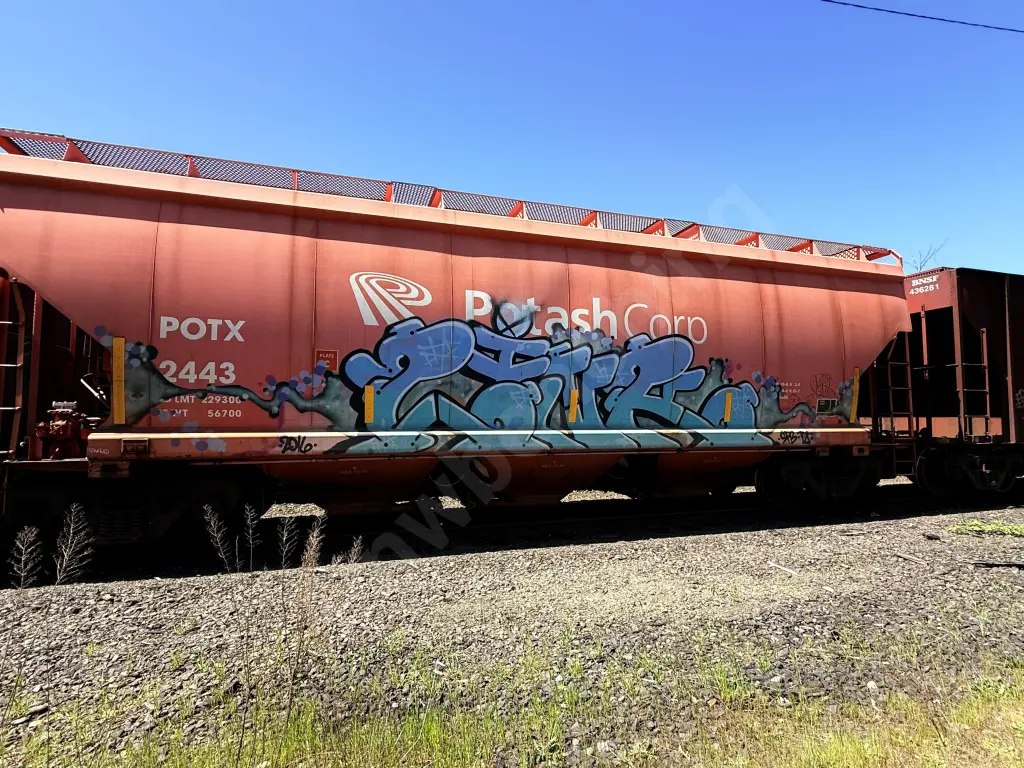 POTX2443 - NORTH-AMERICA